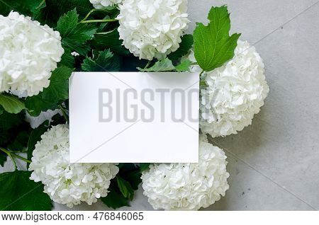 Empty White Card And Bouquet Of White Flower Hydrangea On Grey Background