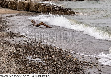 Drift Wood On The Beach In Jack Darling Park