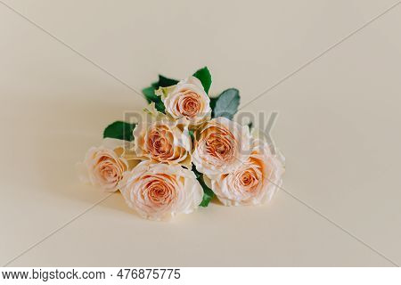 Tender Rose Flowers On A Pink Pech Pastel Background. Place For Text.