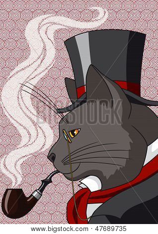 Señor gato