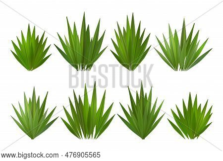 Green Grass Vector Border On White Or Transparent Background. Field Or Lawn Isolated Meadow Turf. Re
