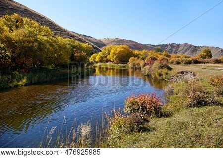 Beautiful Autumn Landscape. Yellow Trees And Bushes On The Bank Of A Picturesque River.