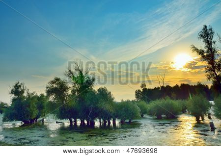 Sonnenuntergang auf der Donau
