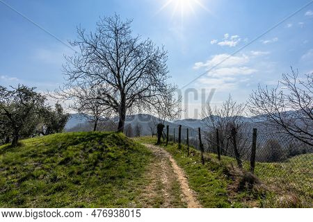 2023 03 11 Vallonara Tree And Path