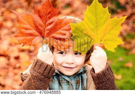 Happy Kid, Little Boy, Playing In Beautiful Autumn Park On Warm Sunny Fall Day. Autumn Dream. Kid Dr