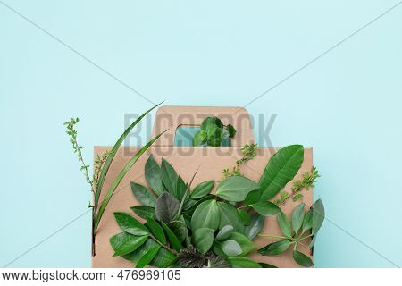 Eco Cardboard Box From Recyclable Organic Materials With Green Leaves Sprouts Top View. Eco Friendly