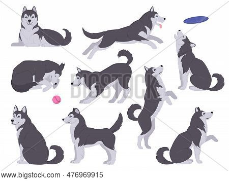 Cartoon Husky Dog. Happy Domestic Husky Puppy, Playing, Sleeping And Eating Huskies Flat Vector Illu