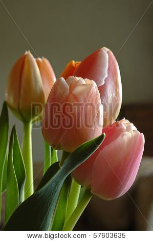 A Bunch Of Pink Tulips