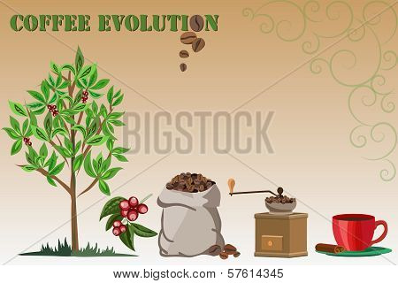 Coffee Evolution