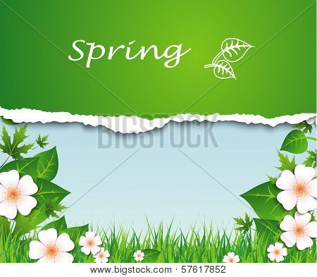 Spring