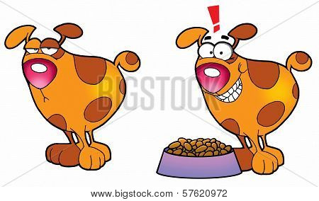 Hungry Dog