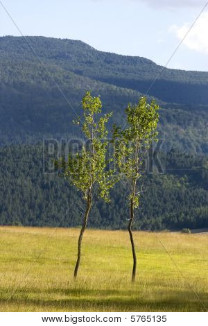 Smuk, uberørt natur, omkring Satorsko Lake i de vestlige regioner i Bosnien og Herzegov