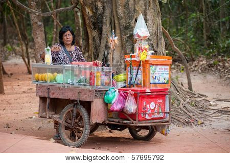 Tradeswoman At Angkor, Cambodia