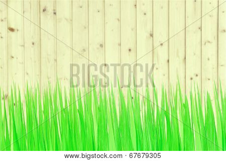 Green Grass And Wooden Wall