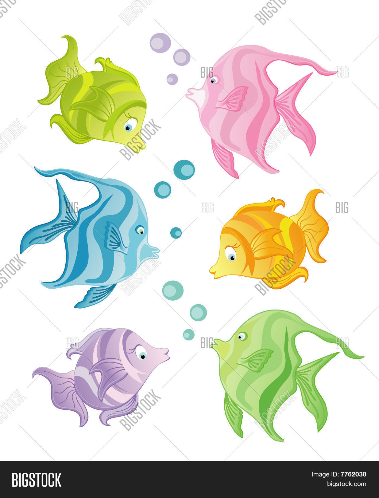 Image Preview