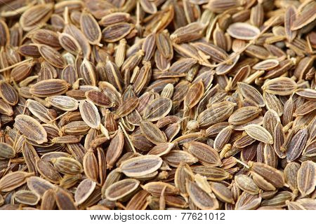 dill