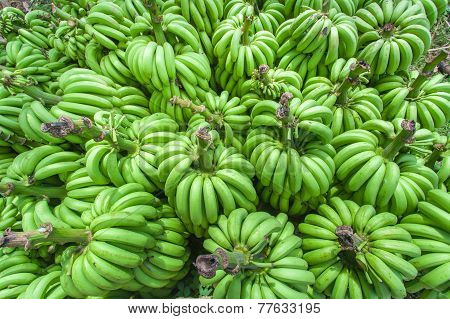 Bunch of bananas