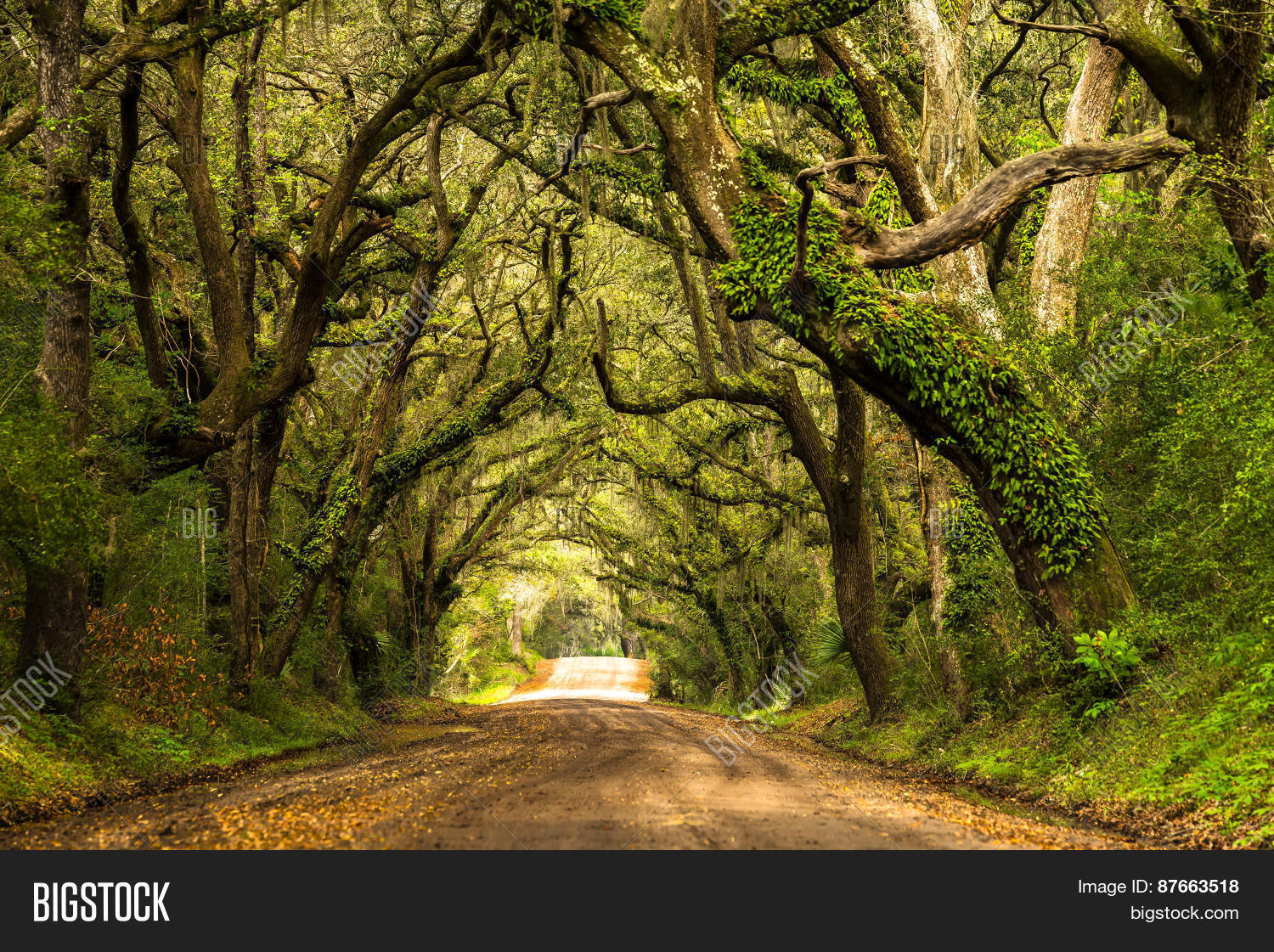 Botany Bay Road Image & Photo (Free Trial) Bigstock