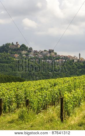 Summer Landscape In Monferrato (italy)