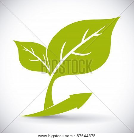 Ecology design.