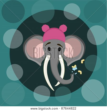 Elephant 2