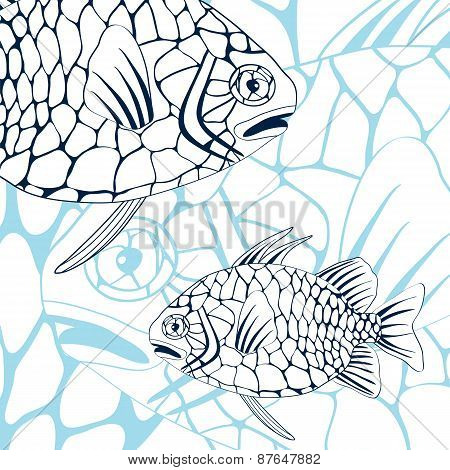 Pinecone fish