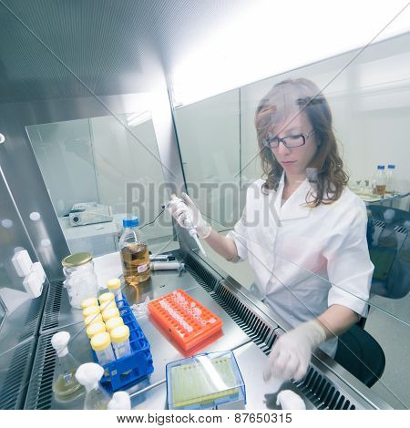 Life scientist researching in the laboratory.