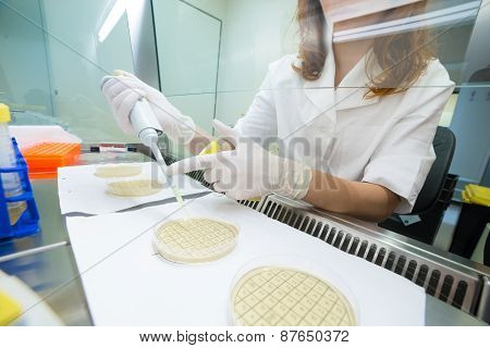Life scientist researching in the laboratory.