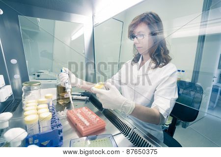 Life scientist researching in the laboratory.