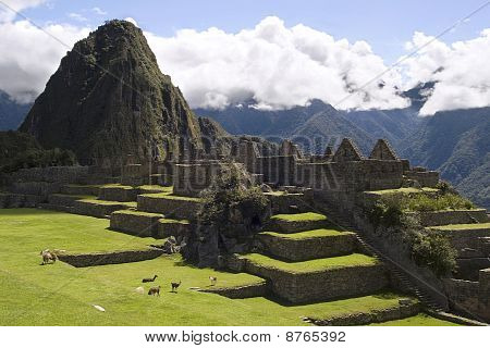 Görünüm Machu Picchu, Peru
