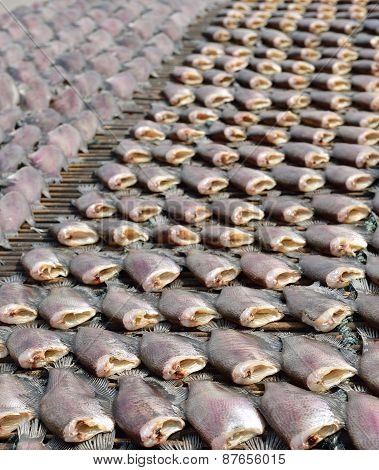 Sun Dried Salid Fish Before Cooking Sell In The Market In Thailand