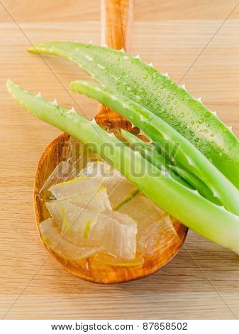 Aloevera - Natural Spas Ingredients For Skin Care.