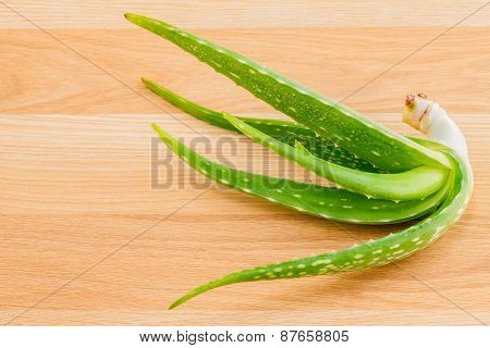 Aloevera - Natural Spas Ingredients For Skin Care.