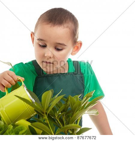 Little gardener boy, isolated on white