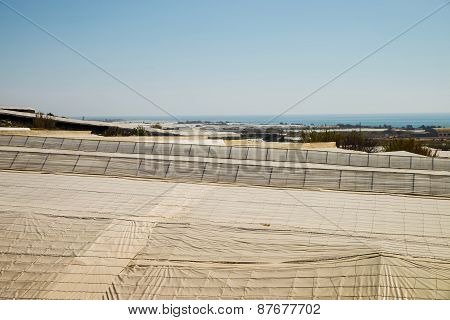 Greenhouse Landscape