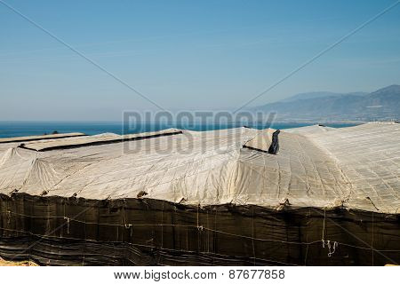 Greenhouse Landscape