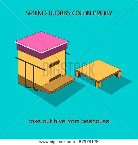 Take Out Hive From Beehouse (spring Work)