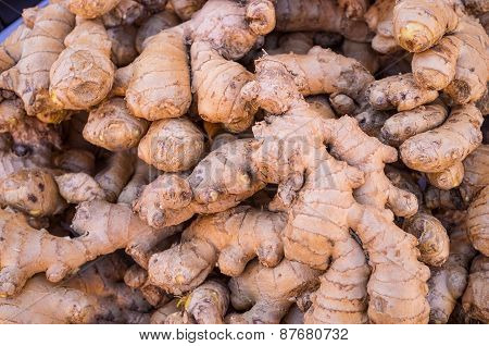 Ginger
