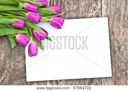 Violet Tulips On The Oak Brawn Table With White Sheet Of Paper 5