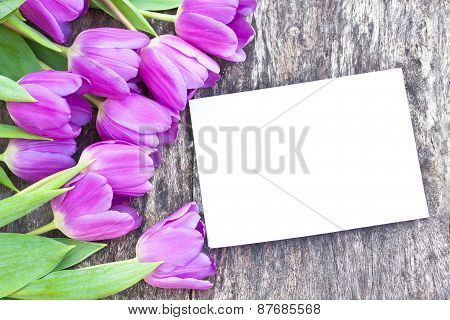 Violet Tulips On The Oak Brawn Table With White Sheet Of Paper 6