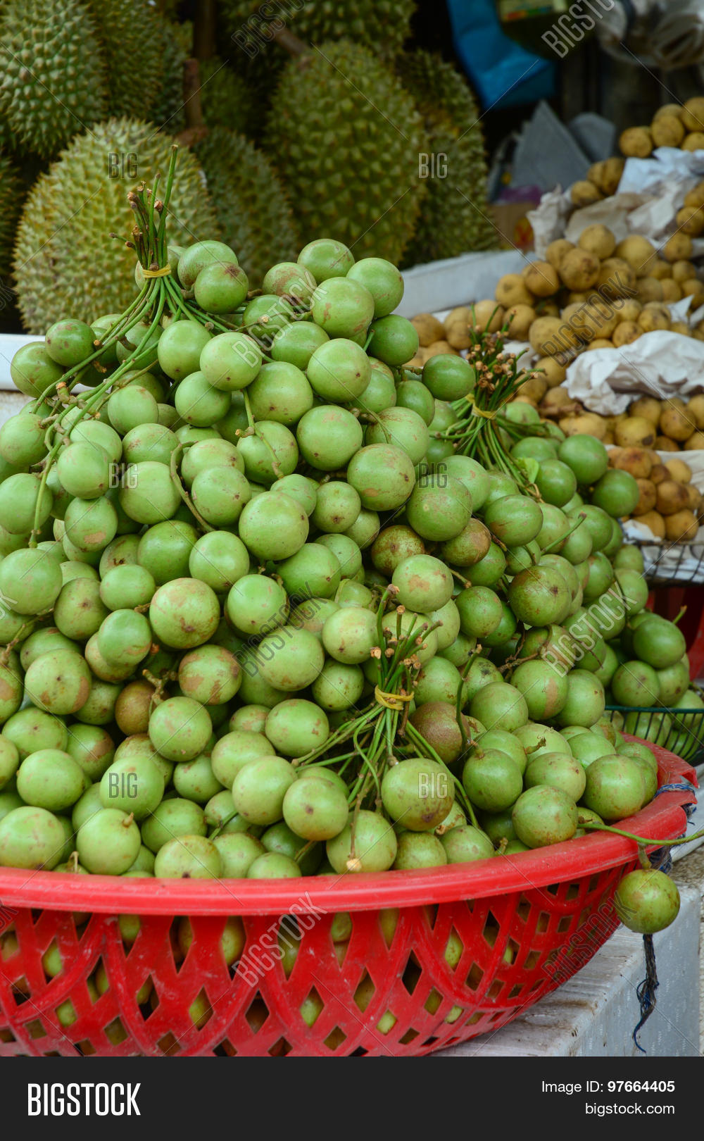 Bunch Burmese Grape Image & Photo (Free Trial) Bigstock