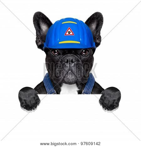 Handyman Dog