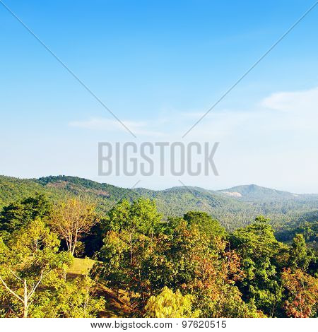 Beautiful Tropic Landscape