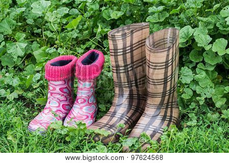 Children And Adults Rubber Boots In The Grass