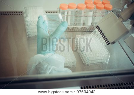 Laboratory Technician Working With Multiwell Pipette, Soft Focus