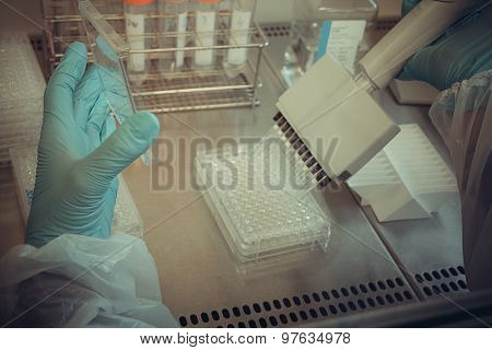 Laboratory Technician Working With Multiwell Pipette