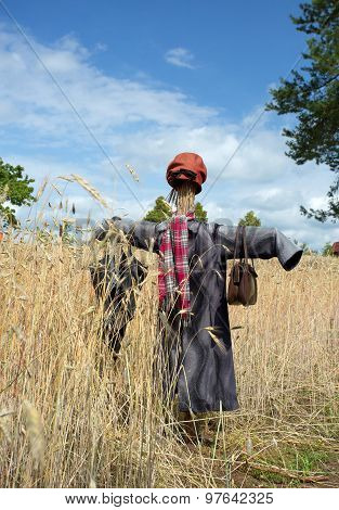 Poland.scarecrow On The Wheat Field.vertical View