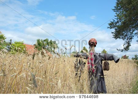 Poland.scarecrow On The Wheat Field.horizontal View