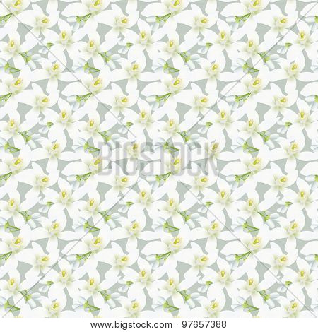 Vector Seamless Pattern With Orange Fruit Blossom.