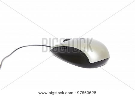 Computer Mouse On White Background